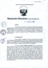 Vista preliminar de documento RD.232-2016-OA