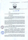 Vista preliminar de documento RD.241-2016-OA