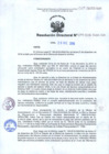 Vista preliminar de documento RD.244-2016-OA