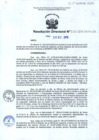 Vista preliminar de documento RD.256-2016-OA