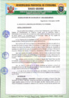 Vista preliminar de documento RESOLUCION DE ALCALDIA N° 382-2020- ENCARGATURA