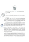 Vista preliminar de documento res-directoral-022-2017-sunedu-02-13