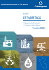 Vista preliminar de documento Boletín Estadístico 2020-T2