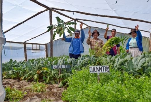 Peru noticias