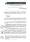 Vista preliminar de documento res-155-2019-sunedu-cd-resuelve-otorgar-el-licenciamiento-institucional-unt