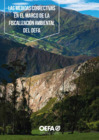 Vista preliminar de documento Las medidas correctivas en el marco de la fiscalización ambiental del OEFA 