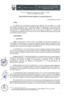 Vista preliminar de documento res-035-2020-sunedu-cd-resuelve-otorgar-la-licencia-institucional-a-unfv