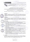 Vista preliminar de documento ANEXO-RD-Nro-040 Lineamientos-para-la-atencion-ciudadana-del-PEBLT