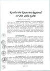 Vista preliminar de documento RER-205-2020-GRL