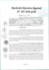 Vista preliminar de documento RER-207-2020-GRL