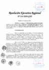 Vista preliminar de documento RER-214-2020-GOB