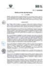 Vista preliminar de documento ResSec2015_037