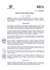 Vista preliminar de documento ResSec2015_059