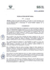 Vista preliminar de documento ResSec2017_010