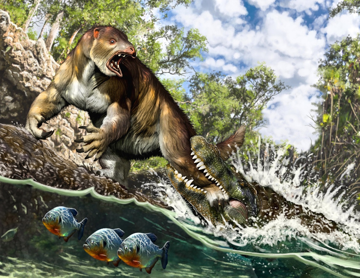 Reconstrucción artística del ataque de un Purussaurus joven a sub-adulto perezoso terrestre Pseudoprepotherium en un pantano de la proto-Amazonia.