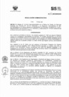 Vista preliminar de documento RADM2017_009