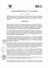 Vista preliminar de documento RADM2017_004