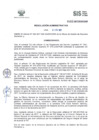 Vista preliminar de documento RADM2017_102