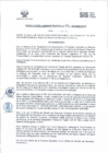 Vista preliminar de documento RADM2018_196