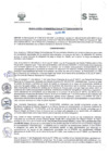 Vista preliminar de documento RADM2015_439