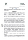 Vista preliminar de documento RADM2017_101