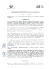 Vista preliminar de documento RADM2018_241