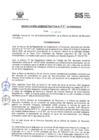 Vista preliminar de documento RADM2018_055
