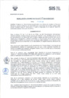 Vista preliminar de documento RADM2018_229