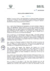 Vista preliminar de documento RADM2017_022