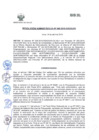 Vista preliminar de documento RADM2015_048
