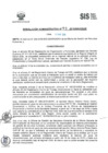 Vista preliminar de documento RADM2018_093