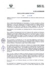 Vista preliminar de documento RADM2017_106