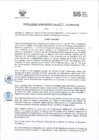 Vista preliminar de documento RADM2018_197