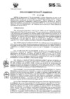 Vista preliminar de documento RADM2019_106