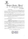Vista preliminar de documento 3067938_RER-012-19