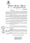 Vista preliminar de documento 1347978_RER-101-19