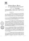 Vista preliminar de documento 460024_RER-118-19