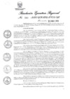 Vista preliminar de documento 332557_RER-193-19