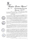 Vista preliminar de documento 141079_RER-213-19