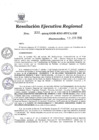 Vista preliminar de documento 1200253_RER-332-2019