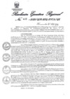 Vista preliminar de documento 515977_RER-412-2019