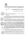 Vista preliminar de documento 2568792_RER-441-19