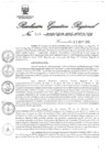 Vista preliminar de documento 2137278_RER-516-19