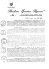 Vista preliminar de documento 1098256_RER-517-19