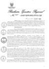 Vista preliminar de documento 3834509_RER-547-2019