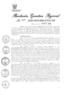 Vista preliminar de documento 513948_RER-549-2019