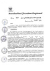 Vista preliminar de documento 1153570_RER-556-2019