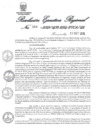 Vista preliminar de documento 4881731_RER-568-2019