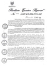 Vista preliminar de documento 1052590_RER-608-2019