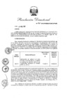 Vista preliminar de documento RD. 041-2020